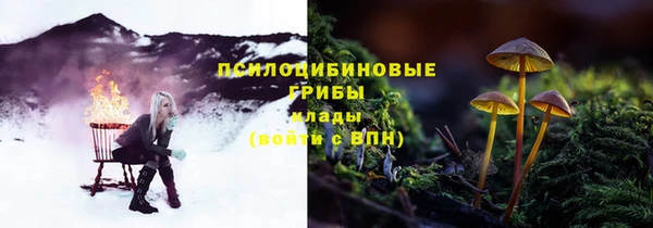 ешки Мегион