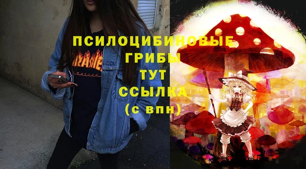 ешки Мегион