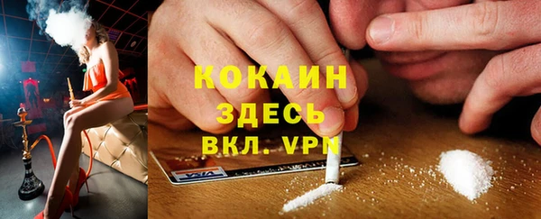 трава Медногорск