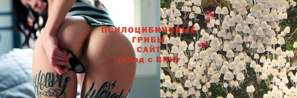 ешки Мегион