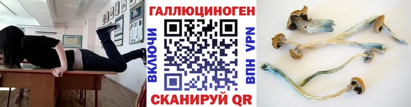 OMG ONION  дарк нет формула  Псилоцибиновые грибы мухоморы  Набережные Челны 
